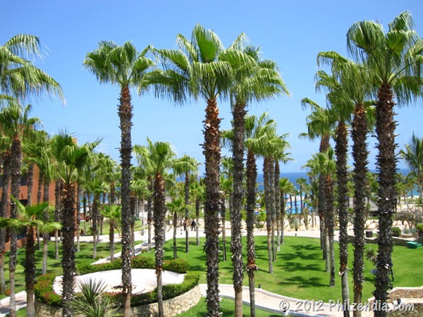 Cabo San Lucas Mexico