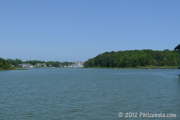 View from the boat - Owls Creek Salt Marsh