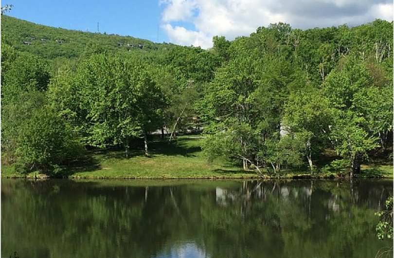 Chateau Resort and Conference Center