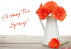 Things to Love About Spring