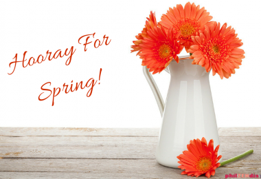 Things to Love About Spring