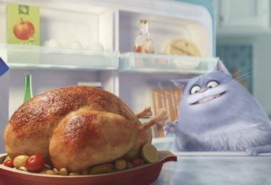 The secret life of pets