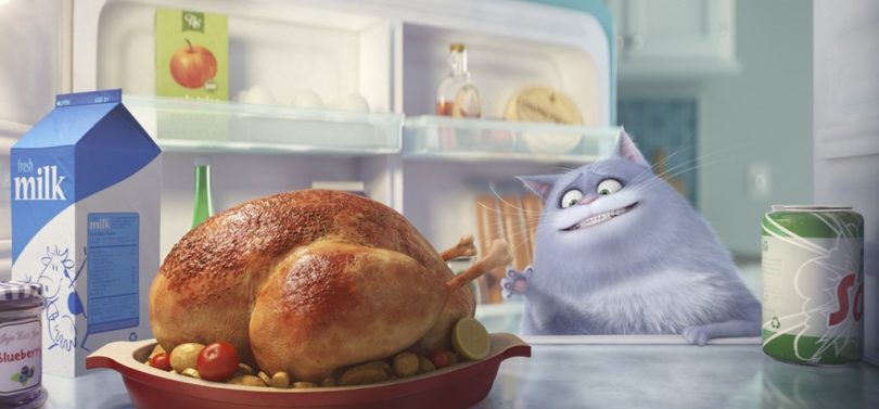The secret life of pets