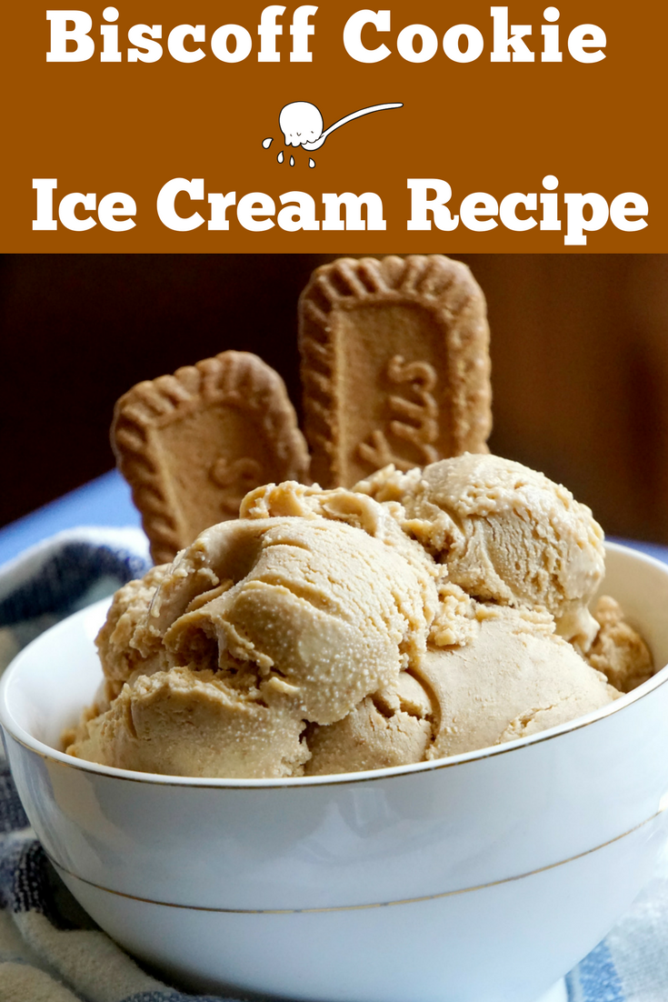 no churn 4 ingredient Biscoff cookie ice cream recipe (1)